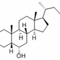 83-49-8/	 猪去氧胆酸 ,分析标准品,HPLC≥98%