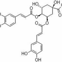 32451-88-0/	 异绿原酸C ,分析标准品,HPLC≥98%