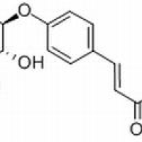5041-81-6/	 异甘草苷 ,分析标准品,HPLC≥98%