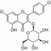 480-10-4/ 紫云英苷 ,分析标准品,HPLC≥98%