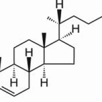 20380-11-4/	 27-羟基胆固醇 ,分析标准品,HPLC≥98%