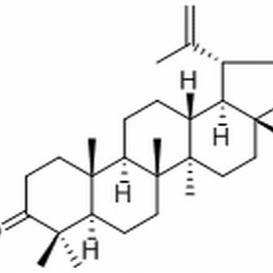 1617-70-5/羽扇烯酮 ,分析标准品,≥98%（TLC）