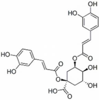 30964-13-7/	 1,3-二咖啡酰奎宁酸（洋蓟素） ,分析标准品,HPLC≥98%