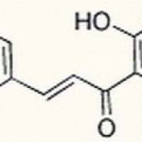 73692-50-9/	 柚皮素查尔酮 ,分析标准品,HPLC≥98%