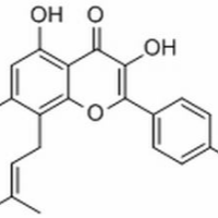 28610-30-2/	 异去氢淫羊藿素 ,分析标准品,HPLC≥98%