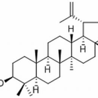 545-47-1/	 羽扇豆醇 ,分析标准品,HPLC≥98%