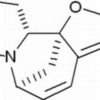 5610-40-2/ 一叶萩碱 ,分析标准品,HPLC≥98%
