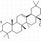 51415-02/-2 竹节参皂苷ⅣA ,分析标准品,HPLC≥98%