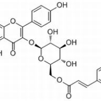 20316-62-5/	 银椴苷 ,分析标准品,HPLC≥98%