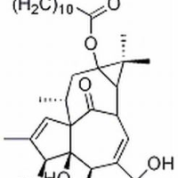 54706-70-6 正十二烷酸巨大戟酯 ,分析标准品,HPLC≥98%