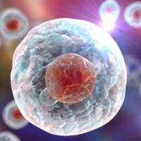 OPM 奥浦迈原料细胞高品质培养基系列产品