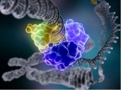 什么是检测活细胞非编码RNA？