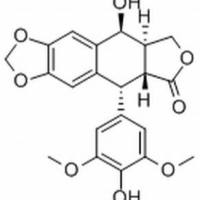 6559-91-7/ 4'-去甲氧基表鬼臼毒素 ,分析标准品,HPLC≥98%