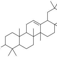 3β-乙酰基齐墩果酸 ,分析标准品,HPLC≥98%