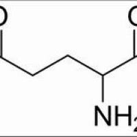 617-65-2/	 DL-谷氨酸 ,分析标准品,HPLC≥98%