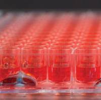 Thermo Scientific™ Nunc™ Edge™ 96-Well, Nunclon Delta-Treated, Flat-Bottom Microplate