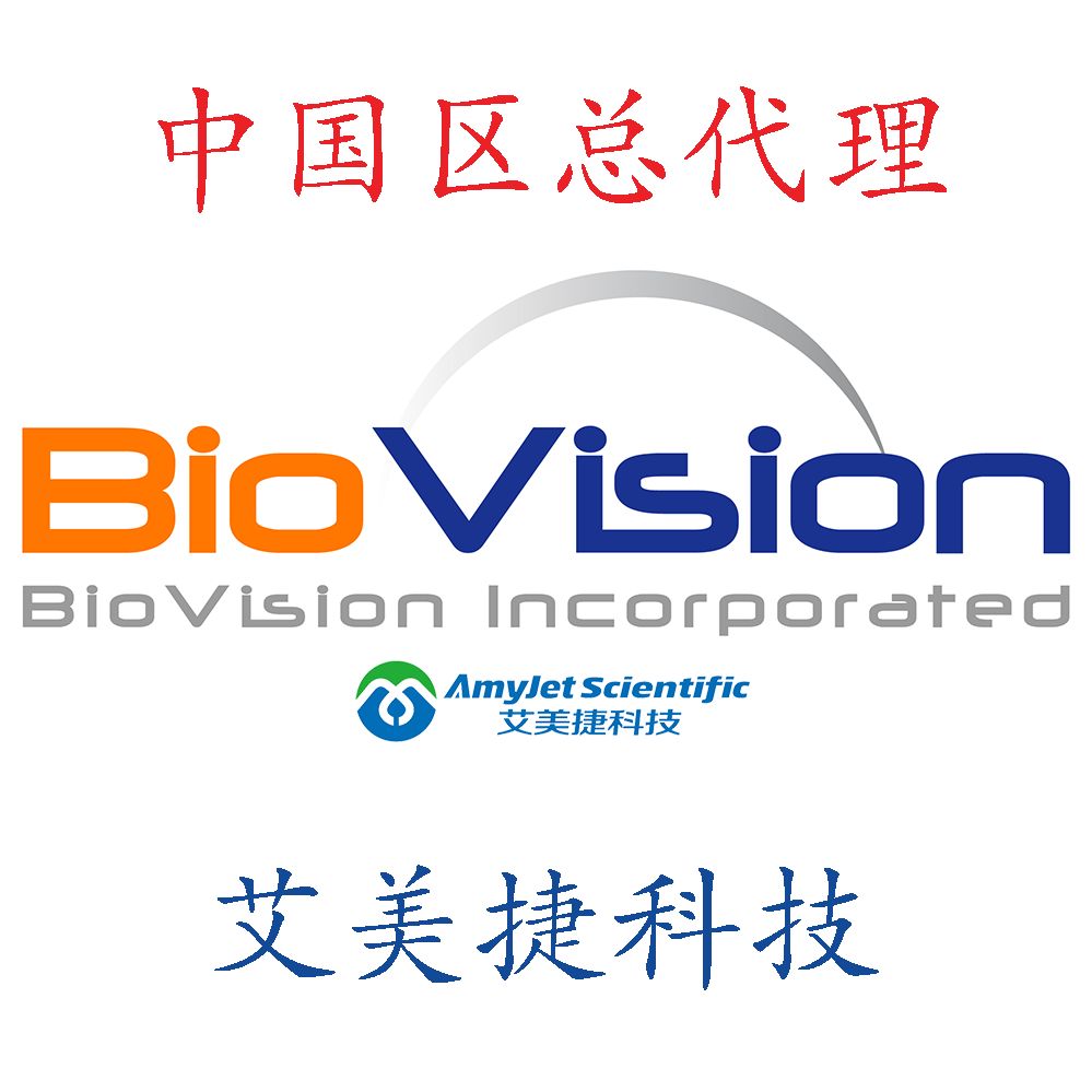 Ethanolamine激酶2，人类重组/Ethanolamine激酶2，人类重组/Ethanolamine激酶2，人类重组