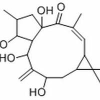 34208-98-5/ 7-羟基千金子二萜醇 ,分析标准品,HPLC≥98%