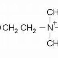 60-31-1/	 化乙酰胆碱 ,分析标准品,98%（T）