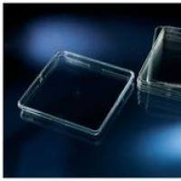 Thermo Scientific™ Nunc™ BioAssay 方形培养皿