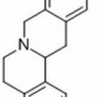13063-54-2/ D-四氢药根碱 ,分析标准品,HPLC≥98%