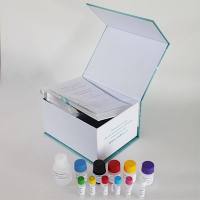 人类趋化因子受体CMLR1(ChemR23)ELISA试剂盒