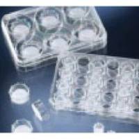 Thermo Scientific™ 多孔板预装的 Nunc™ 聚碳酸酯插入式细胞培养器