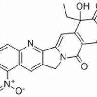 86639-62-5/9-硝基喜树碱 ,分析标准品,HPLC≥98%