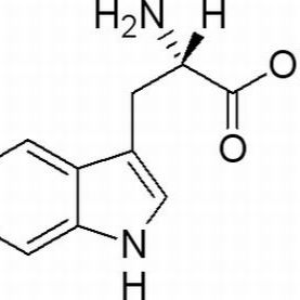 73-22-3/ L-色氨酸,分析标准品,HPLC≥98%
