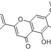 29550-13-8/	 黄芩素-7-甲,分析标准品,HPLC≥98%