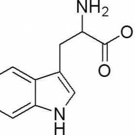 54-12-6/DL-色氨酸 ,分析标准品,HPLC≥98%