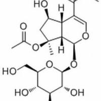 57420-46-9/	 8-O-乙酰山栀苷甲酯 ,分析标准品,HPLC≥98%