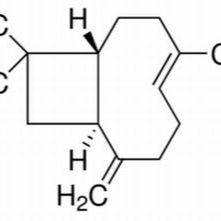 87-44-5 β-丁香烯 ,分析标准品,GC≥98%（sum of enantiomers）