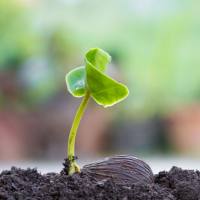 有机肥元素分析|肥料腐殖酸检测|肥料中养分检测