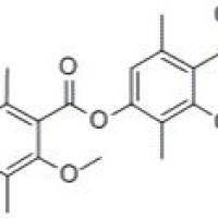 436-32-8/ 地弗地衣酸 ,分析标准品,HPLC≥98%