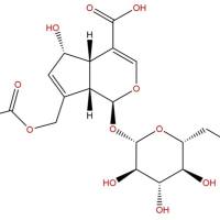 25368-11-0/	 车叶草苷酸 ,分析标准品,HPLC≥95%