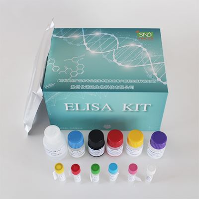 大鼠肌钙蛋白Ⅰ(Tn-Ⅰ)ELISA Kit