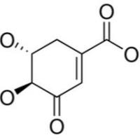 2922-42-1/3-脱氢莽草酸,分析标准品,HPLC≥95%