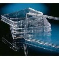 Thermo Scientific™ Nunc™ OmniTray™多用途方形培养盘