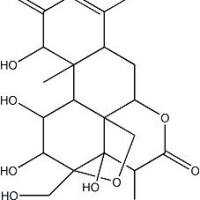 95258-14-3/	 Yadanziolide A ,分析标准品,HPLC≥98%