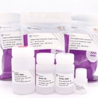 细胞、组织RNA柱式提取试剂盒 FastPure Cell/Tissue Total RNA