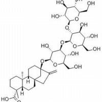 58543-17-2/	 瑞鲍迪甙B ,分析标准品,HPLC≥98%