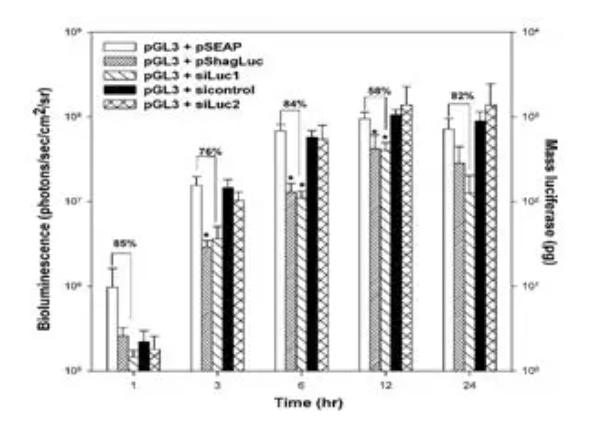 干扰效率低怎么办？总结提升效率 4 个关键