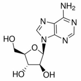 5536-17-4/ 阿糖腺苷,分析标准品,HPLC≥98%