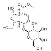 52613-28-2/ 去乙酰车叶草酸甲酯,分析标准品,HPLC≥98%产品图