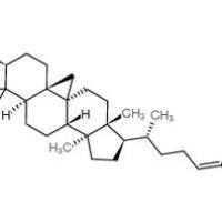 469-38-5/ 环阿屯醇,分析标准品,HPLC≥98%