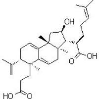 137551-39-4/	 茯苓酸B,分析标准品,HPLC≥95%