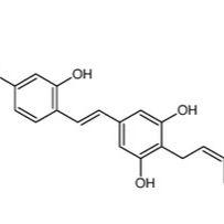 69065-16-3/ 4-异戊烯基氧基白藜芦醇,分析标准品,HPLC≥98%