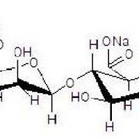 D-聚甘露糖醛酸钠 ,分析标准品,平均分子量6-8KD