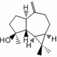 6750-60-3/ 桉油烯醇,分析标准品,HPLC≥93%